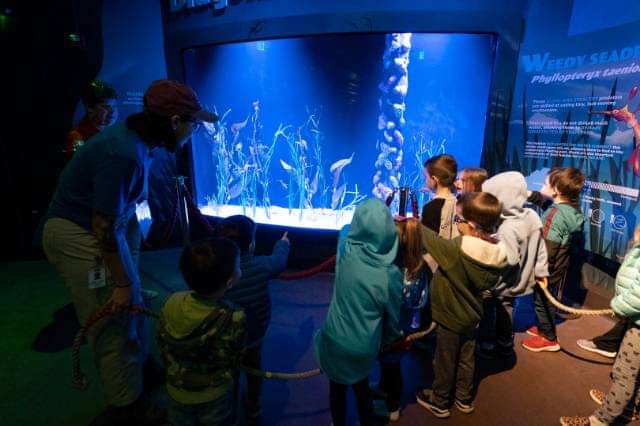 Columbus Zoo & Aquarium - ZooKids 1