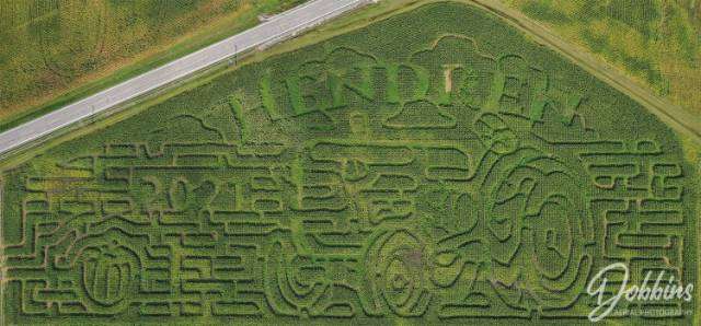 Hendren Farm Market 1