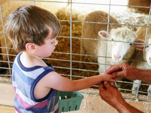 Best Zoos, Aquariums and Animal Farms Around Boston For Kids - Upparent
